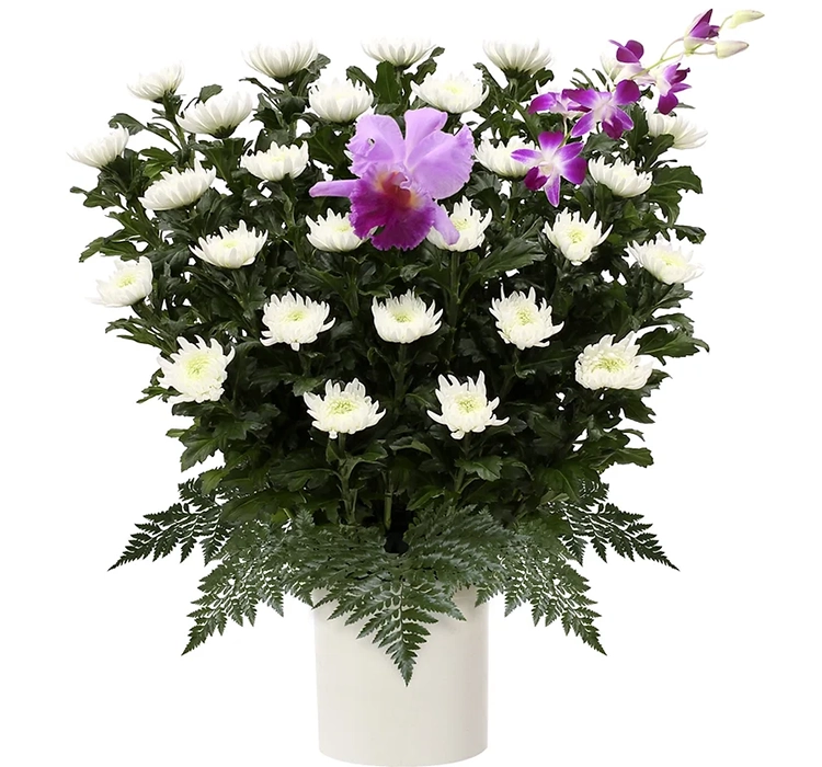 家族葬のそうえん【公式】 | 東京都日野、町田の葬儀社 | 多摩地区クチコミ評価No.1 | お花の注文 家族葬のそうえん【公式】 | 東京都日野、町田の葬儀社 | 多摩地区クチコミ評価No.1 | お花の注文